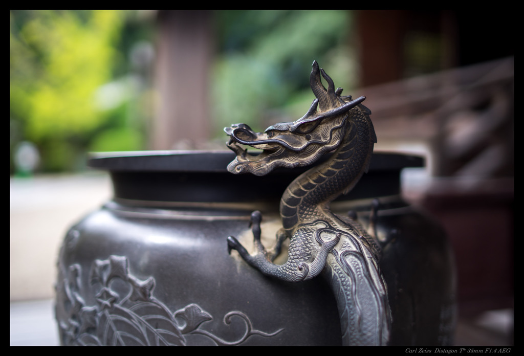 龍