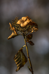 In a winter park_1