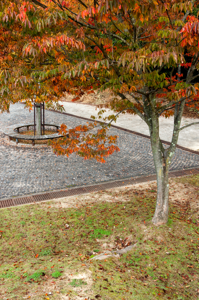 In a park nearby (4)