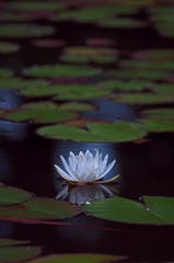 Quietness