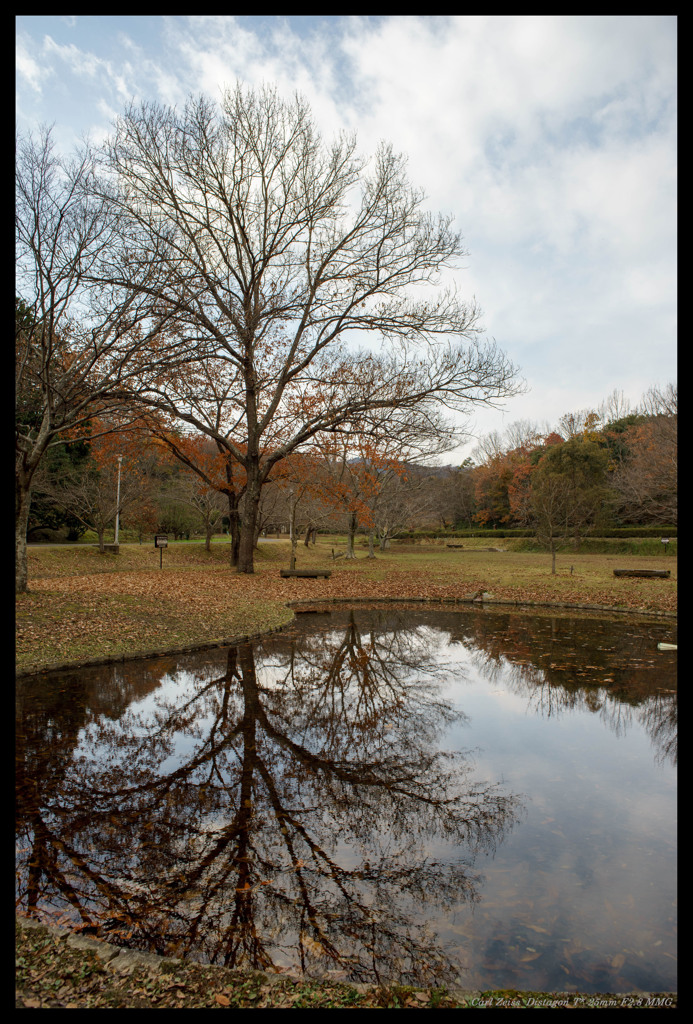 秋の公園