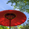 Japanese parasol