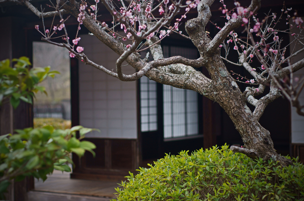 Old house