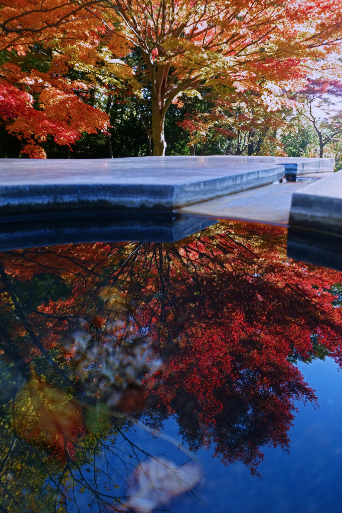 In autumn (mirror)