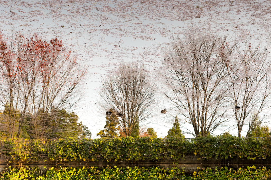 Two-dimensional scenery