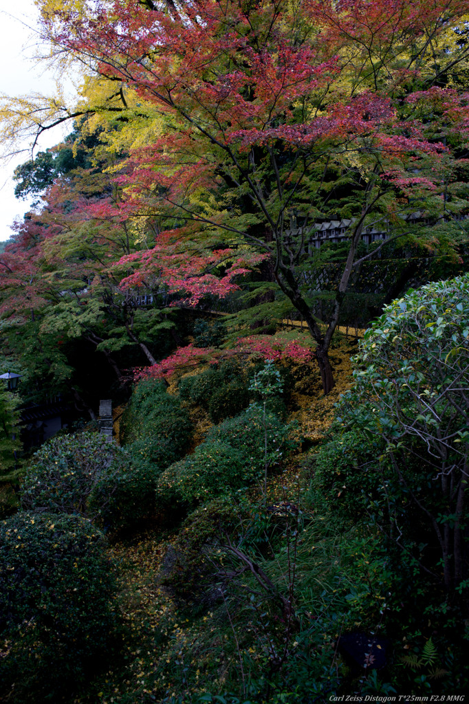 Japanese autumn