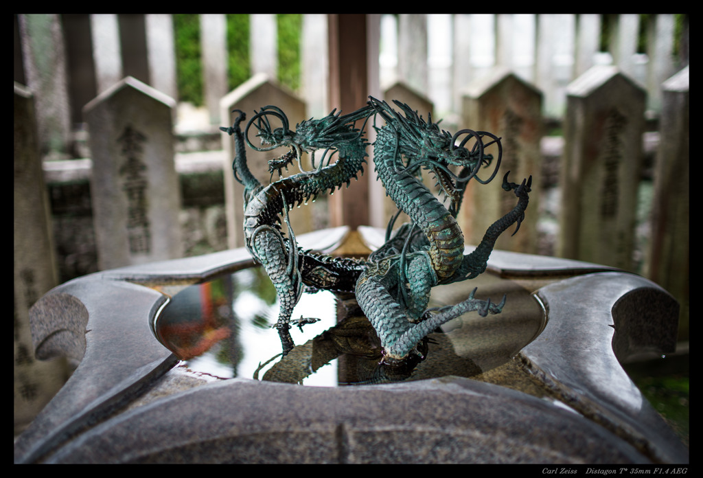 龍