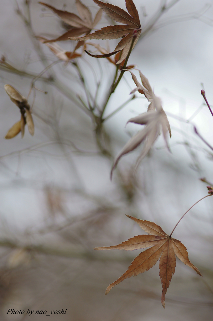 Winter has come