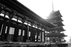 Kofuku-ji(興福寺)