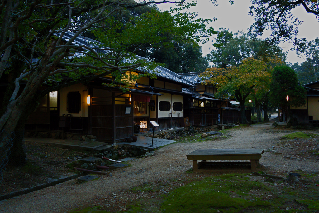 In Nara-koen Park