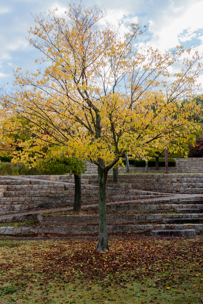 In a park nearby (1)