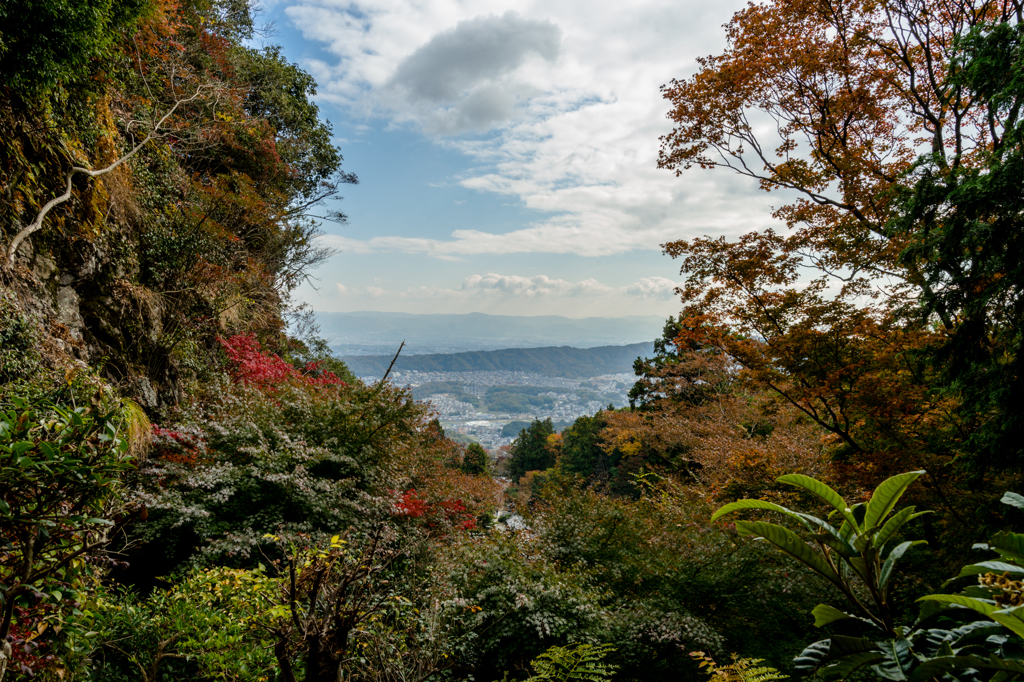 In Hozan-ji