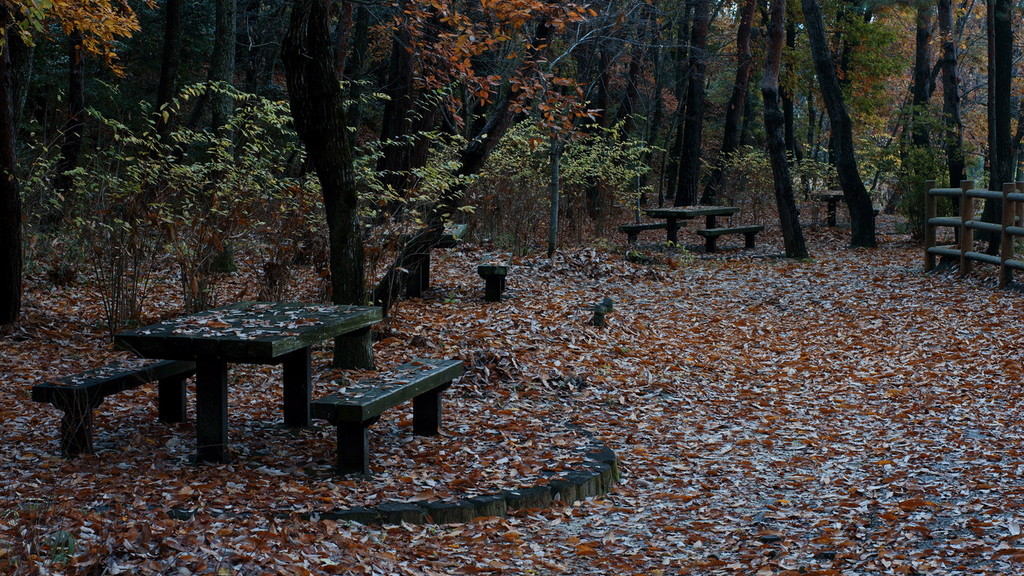 Lonely bench