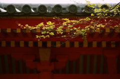 In Kasuga Taisha Shrine (1)