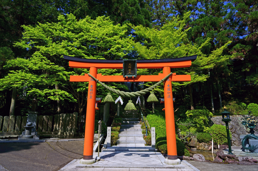 torii