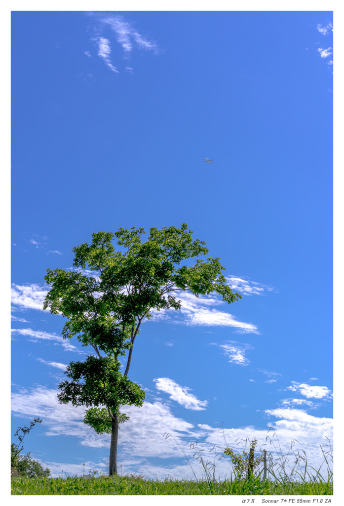 The summer sky
