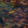 Bottom of the ice