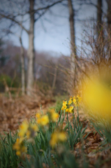 On the stroll road(roadside)