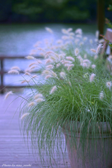 花穂 (1)