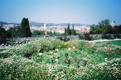 プレトリア（南アフリカ）