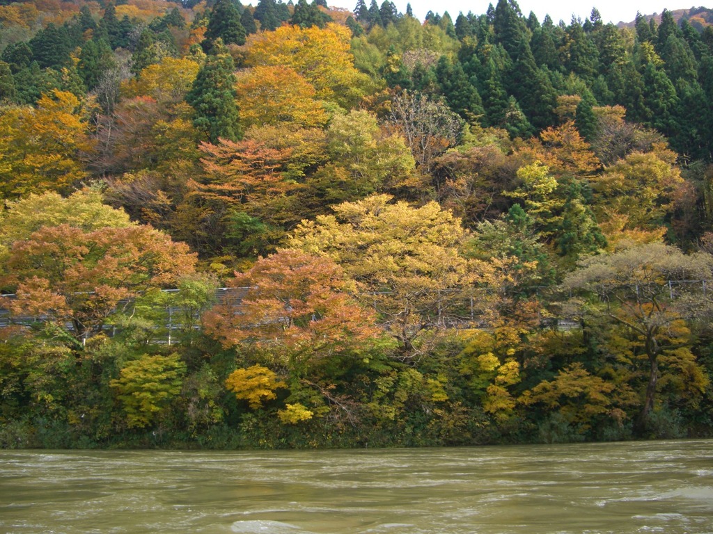 最上川