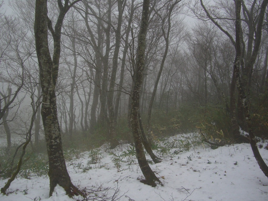 蔵王　鳥兜山