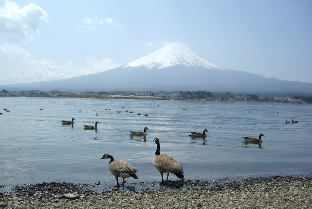河口湖の富士山