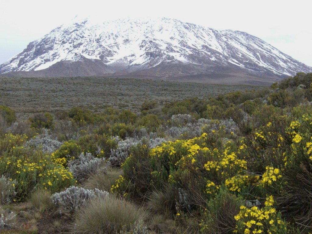 キボ峰