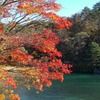 五色沼の紅葉