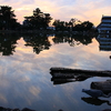 奈良公園08 096