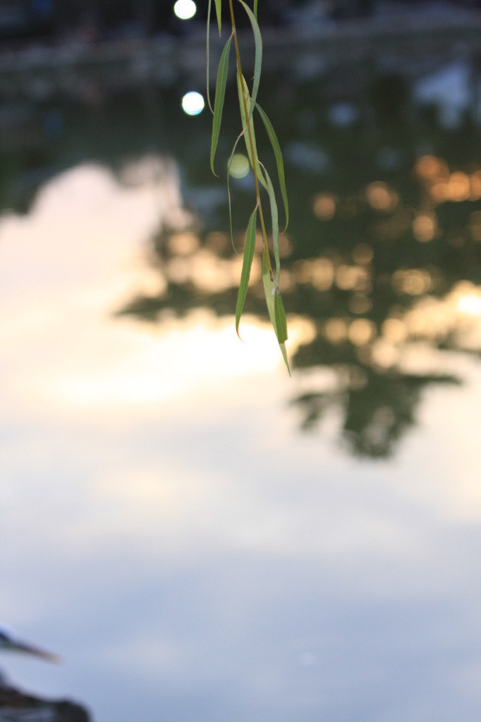 静かに夕暮れ。