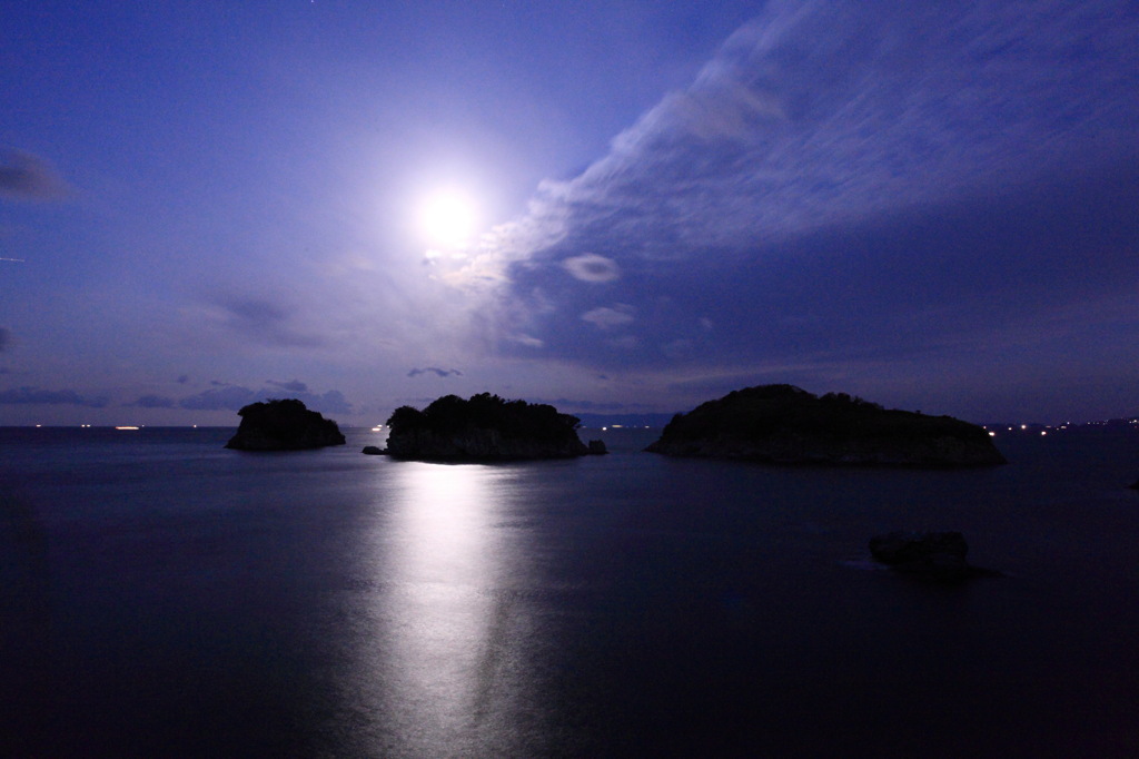 月夜を泳ぐさかな