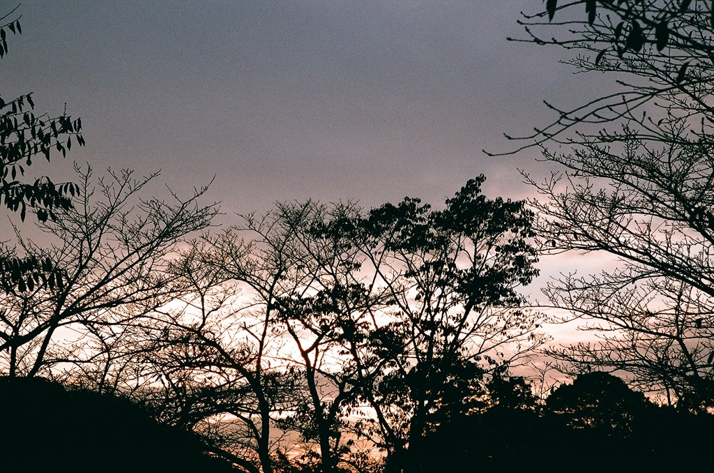 恥ずかしがりやの太陽