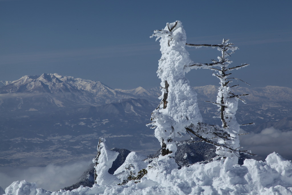 枯れ木に雪像