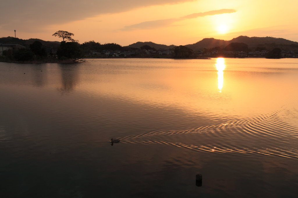 和歌山朝夕日百選　平池