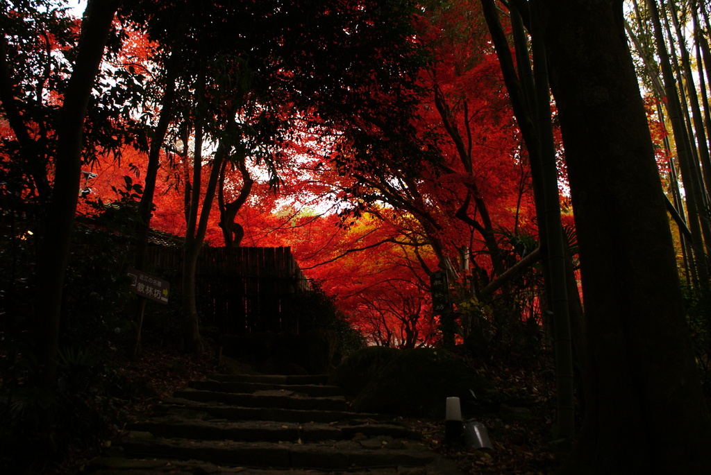 紅葉