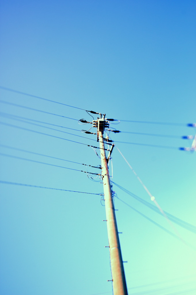電柱