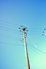 電柱