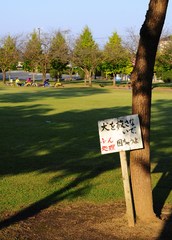 同情