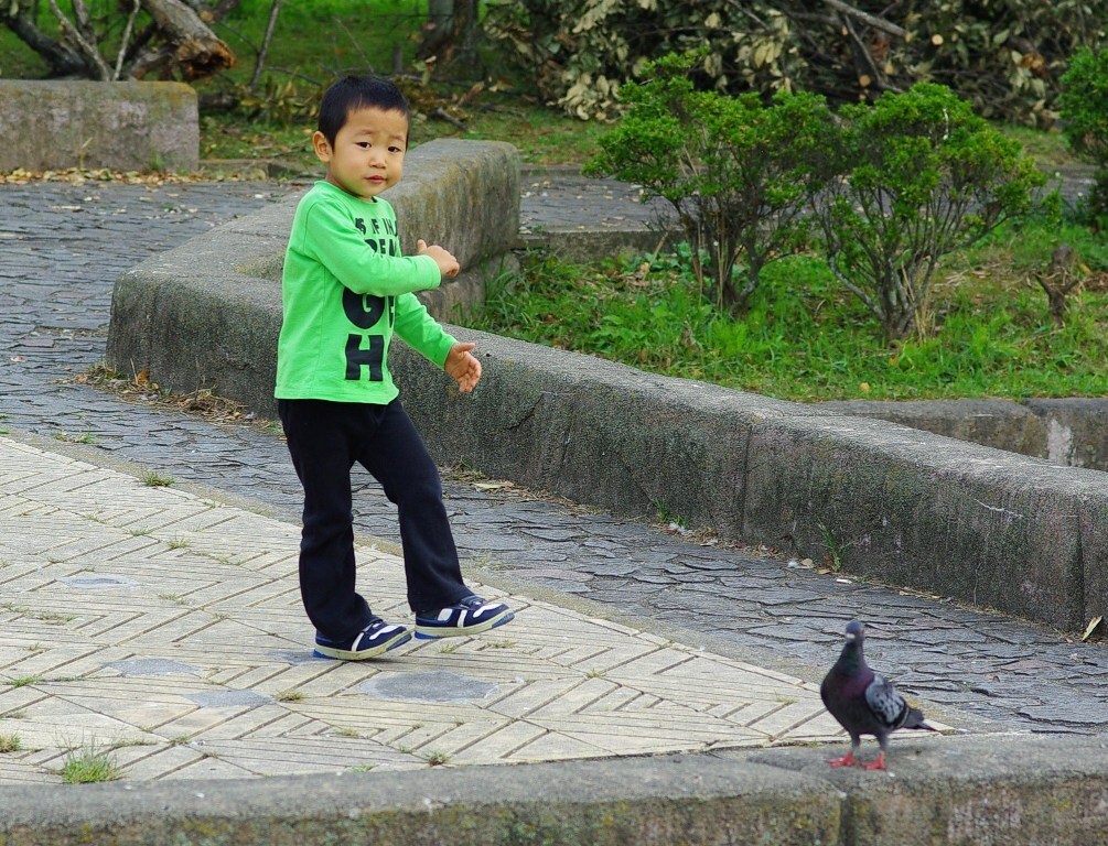 カモン