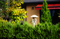 雨宿り