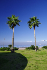 夏の雰囲気