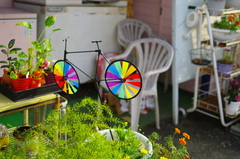 虹色自転車