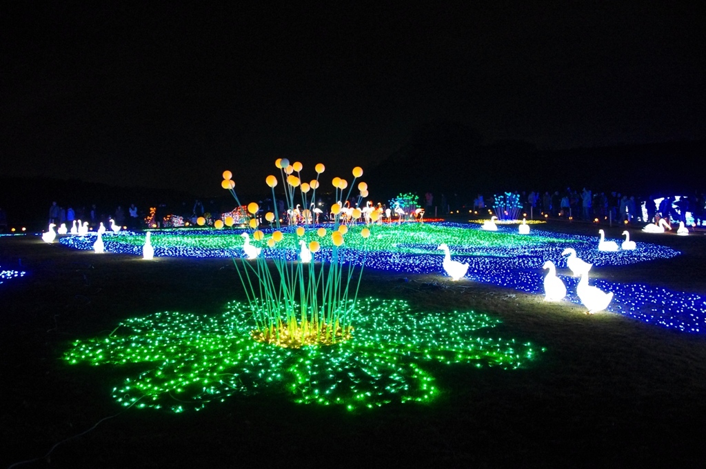 ドイツ村イルミネーション　花