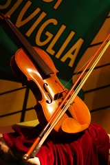 TDS　バイオリン