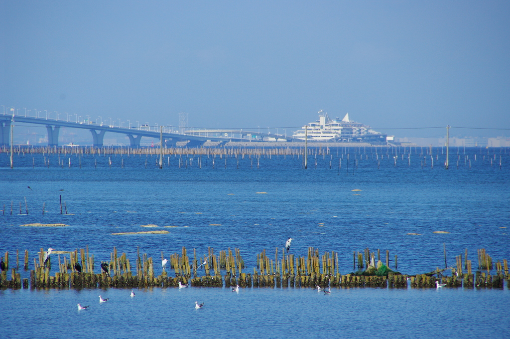 ある晴れた日の海景色