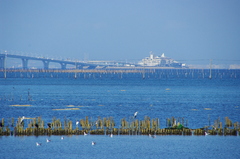 ある晴れた日の海景色