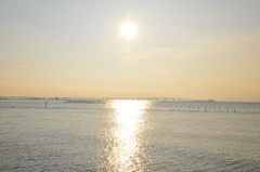 東京湾夕景