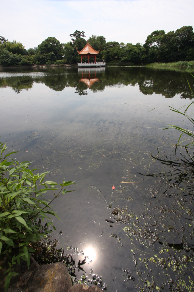 緑が丘公園