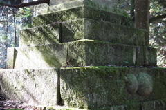 年期の影